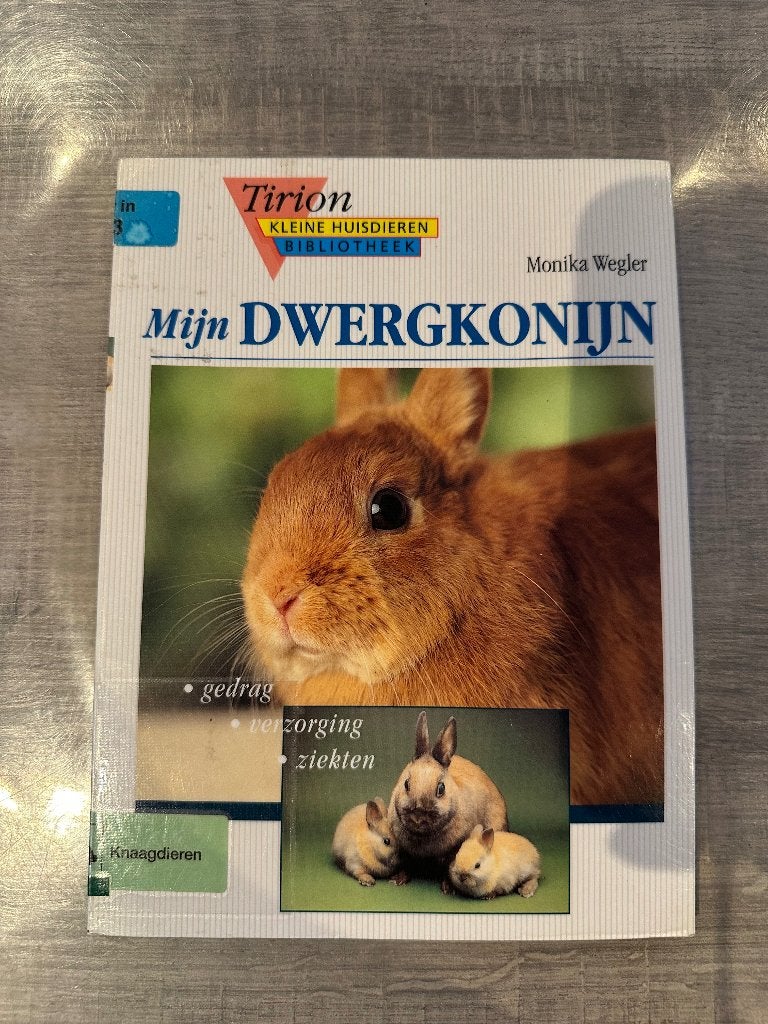 Mijn dwergkonijn, Livres, Animaux & Animaux domestiques, Enlèvement, Utilisé, Lapins ou Rongeurs