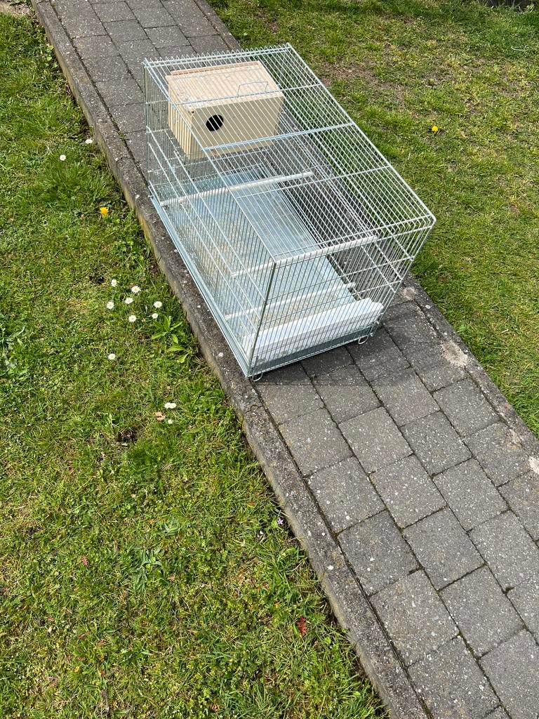 Vogelkooi Agapornis, Dieren en Toebehoren, Dwergpapegaai of Agapornis