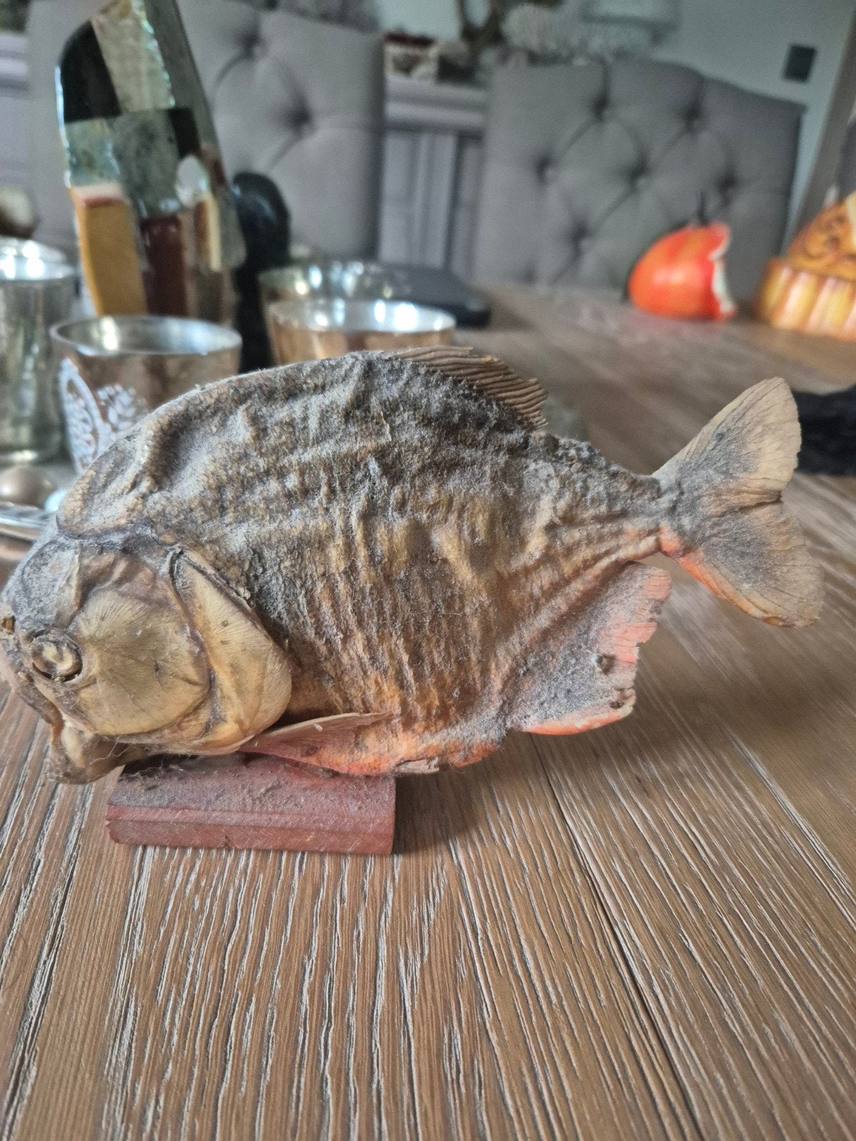 vintage piranha taxidermie, Enlèvement ou Envoi