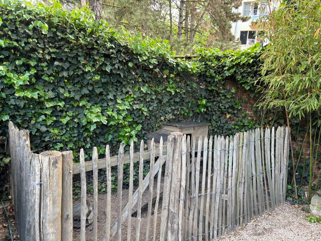 Kastanje hekwerk met poortje (kippenren), Tuin en Terras, Ophalen, Gebruikt, Hout, Met poort