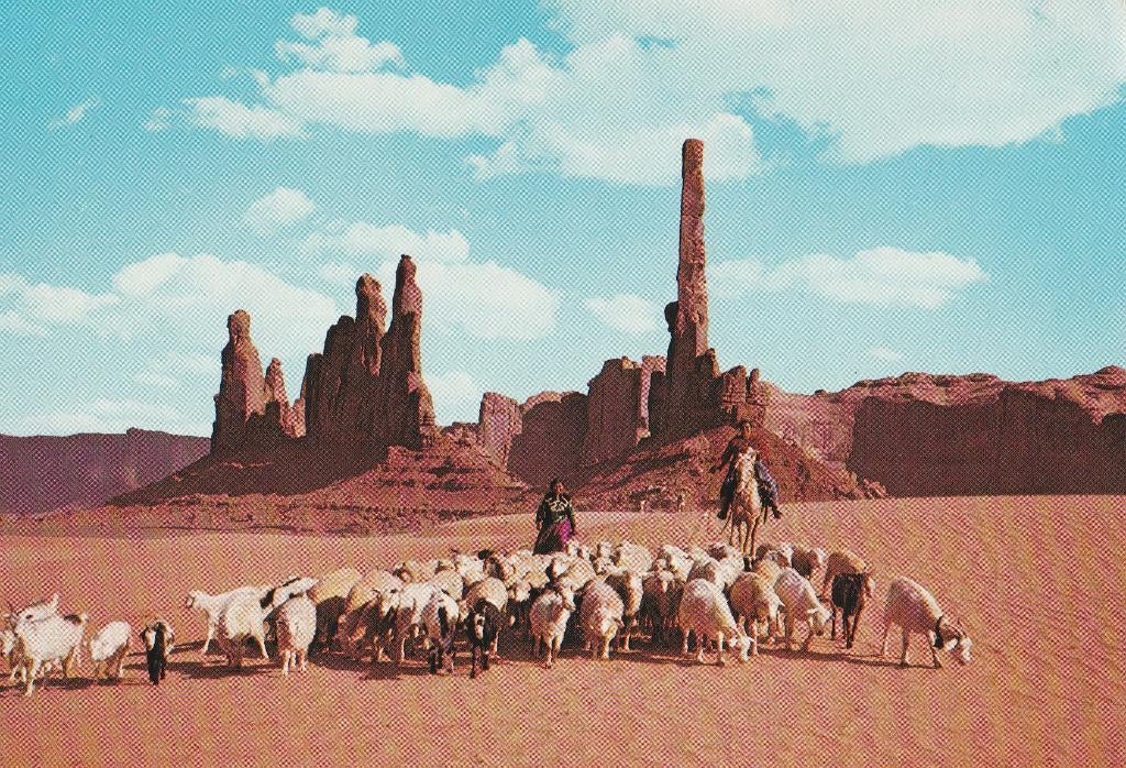 SCHAPENKUDDE  NAVAJO  INDIANEN in  MONUMENT  VALLEY, Envoi, Non affranchie, Autres