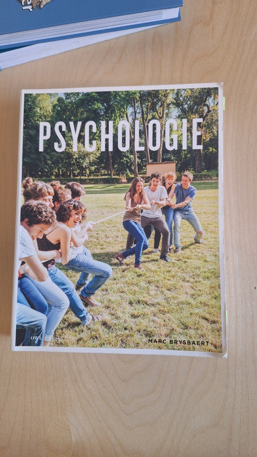 Marc Brysbaert - Psychologie, Boeken, Gelezen, Sociale psychologie, Ophalen of Verzenden, Marc Brysbaert
