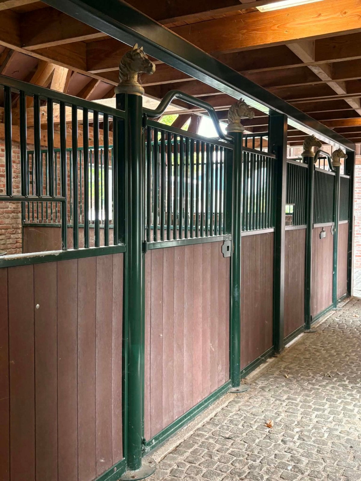Stalling vrij adegem, Animaux & Accessoires, Mise à l'étable