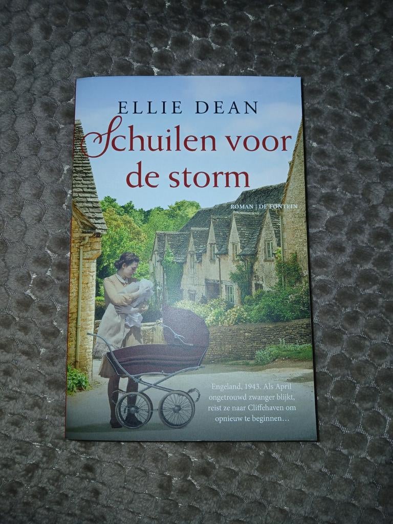 Ellie Dean - Schuilen voor de storm (wegens dubbel), Boeken, Literatuur, Nieuw, Ophalen