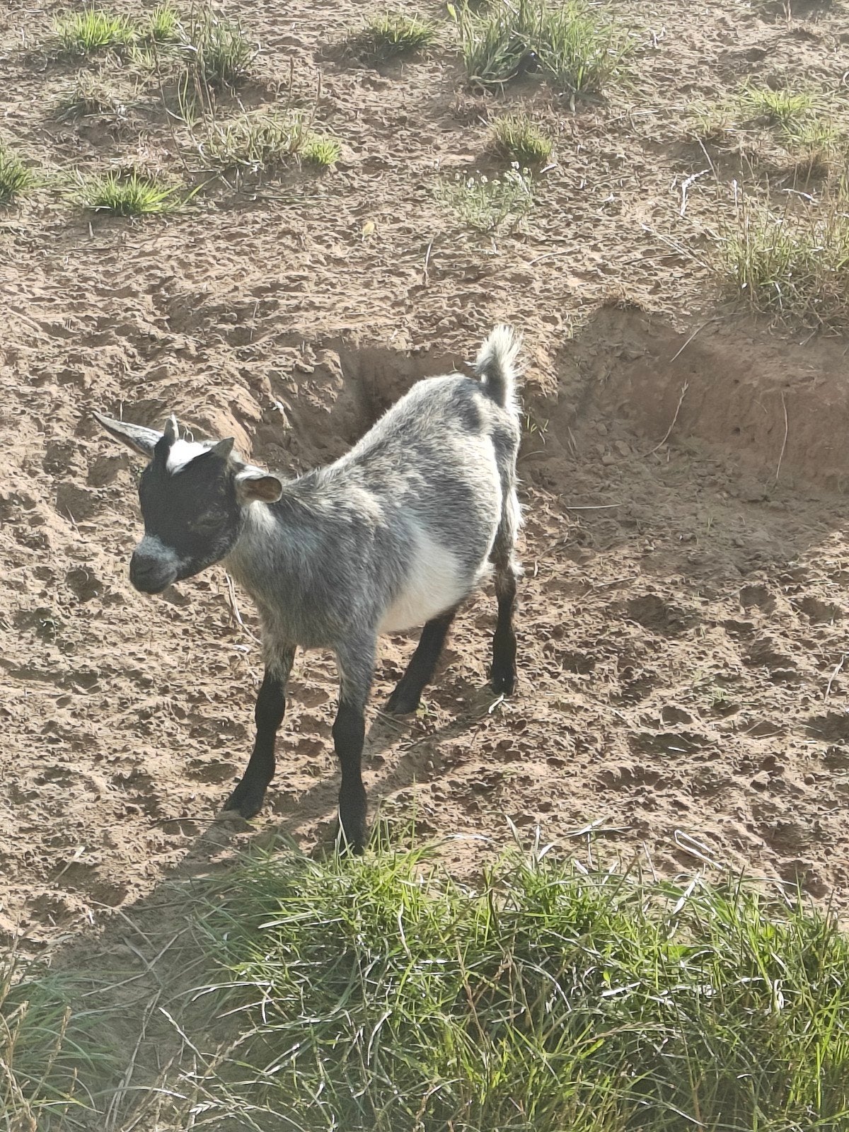 Mooi klein boekje