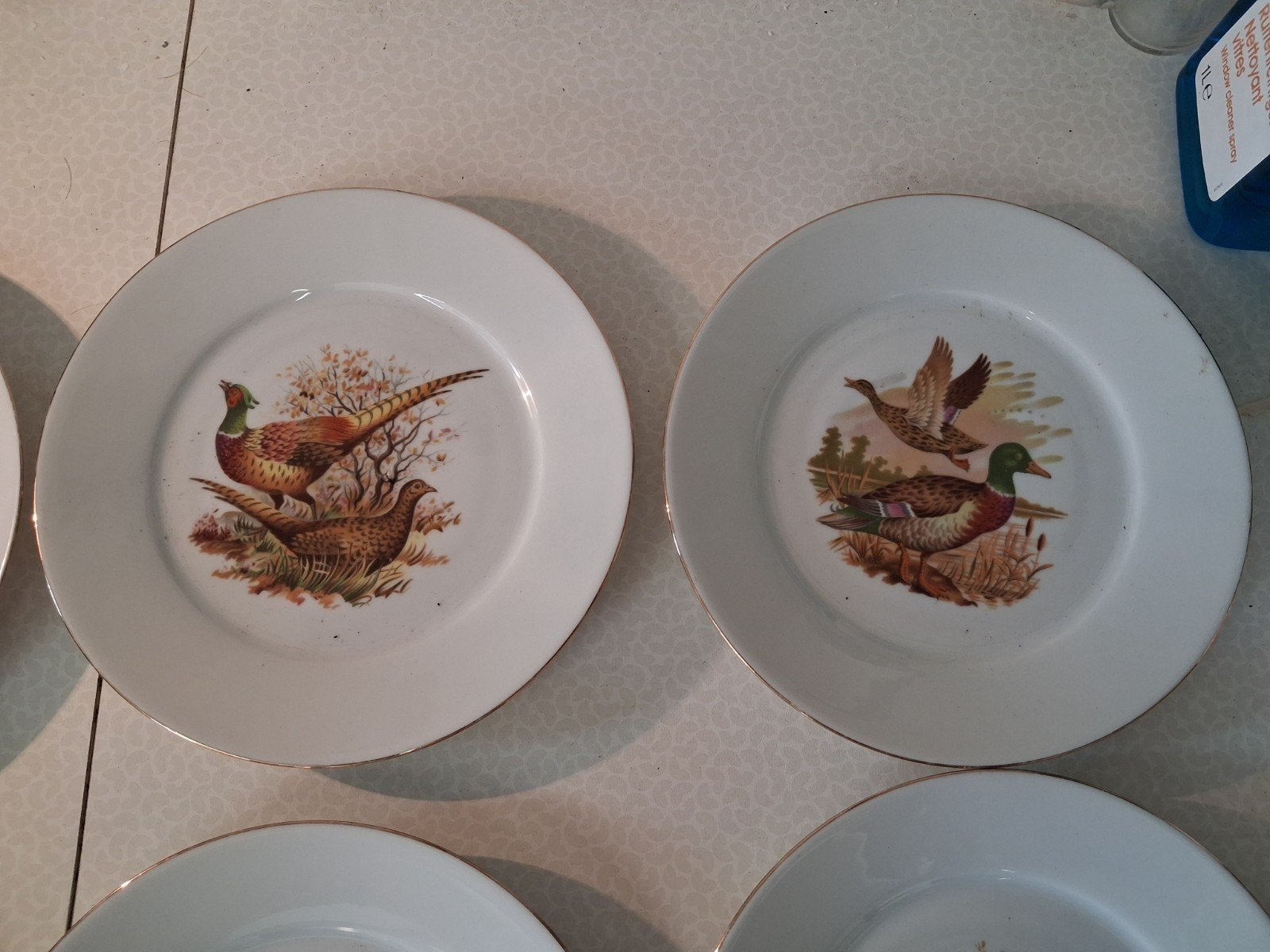 6 jacht borden limoges, Ophalen of Verzenden, Bord(en)