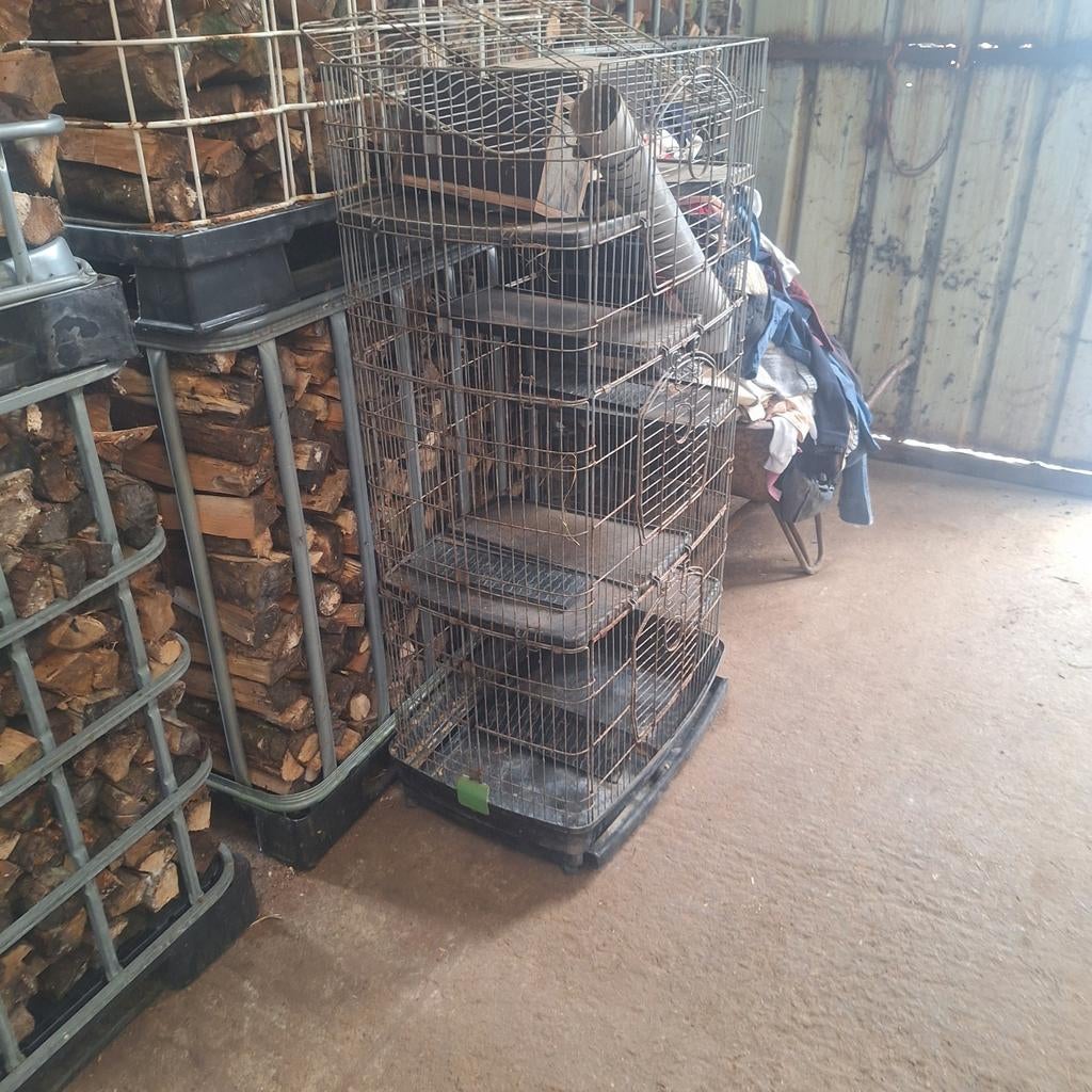Kooi voor cavia's, ratten, ..., Tuin en Terras, Ophalen of Verzenden