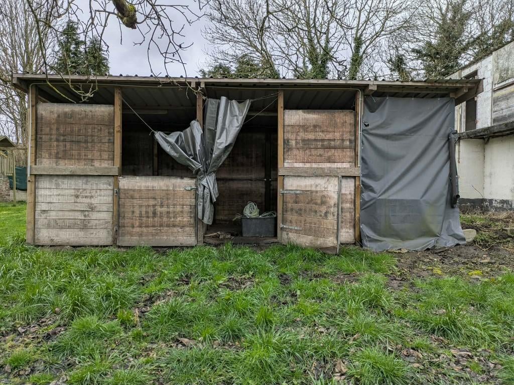 Twee boxen voor paarden, Dieren en Toebehoren, Stalling en Weidegang, Weidegang, 2 of 3 paarden of pony's