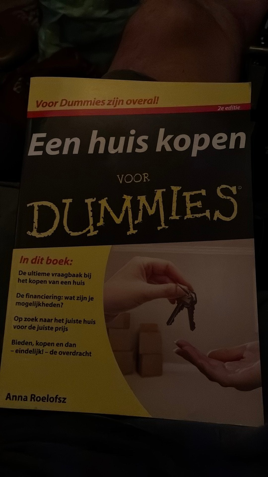 Een huis kopen voor dummies, Livres, Enlèvement, Comme neuf