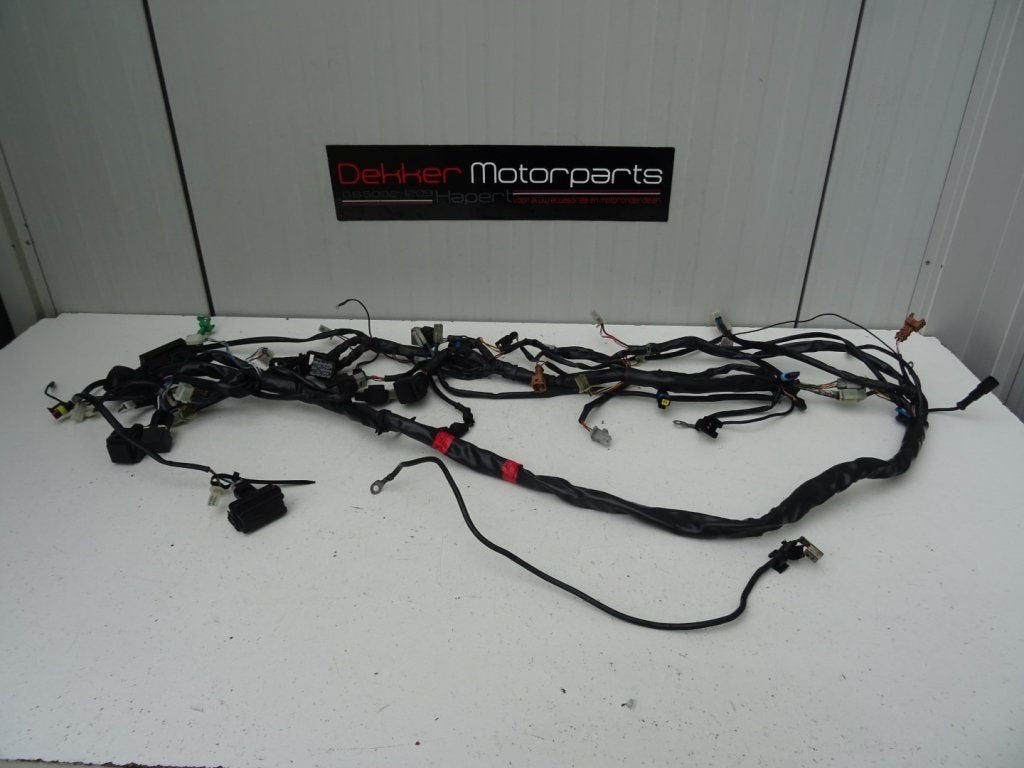 Kabelboom / Wire Harness Aprilia RST1000 Futura 2001-2004, Motos, Pièces | Autre, Utilisé, Enlèvement ou Envoi