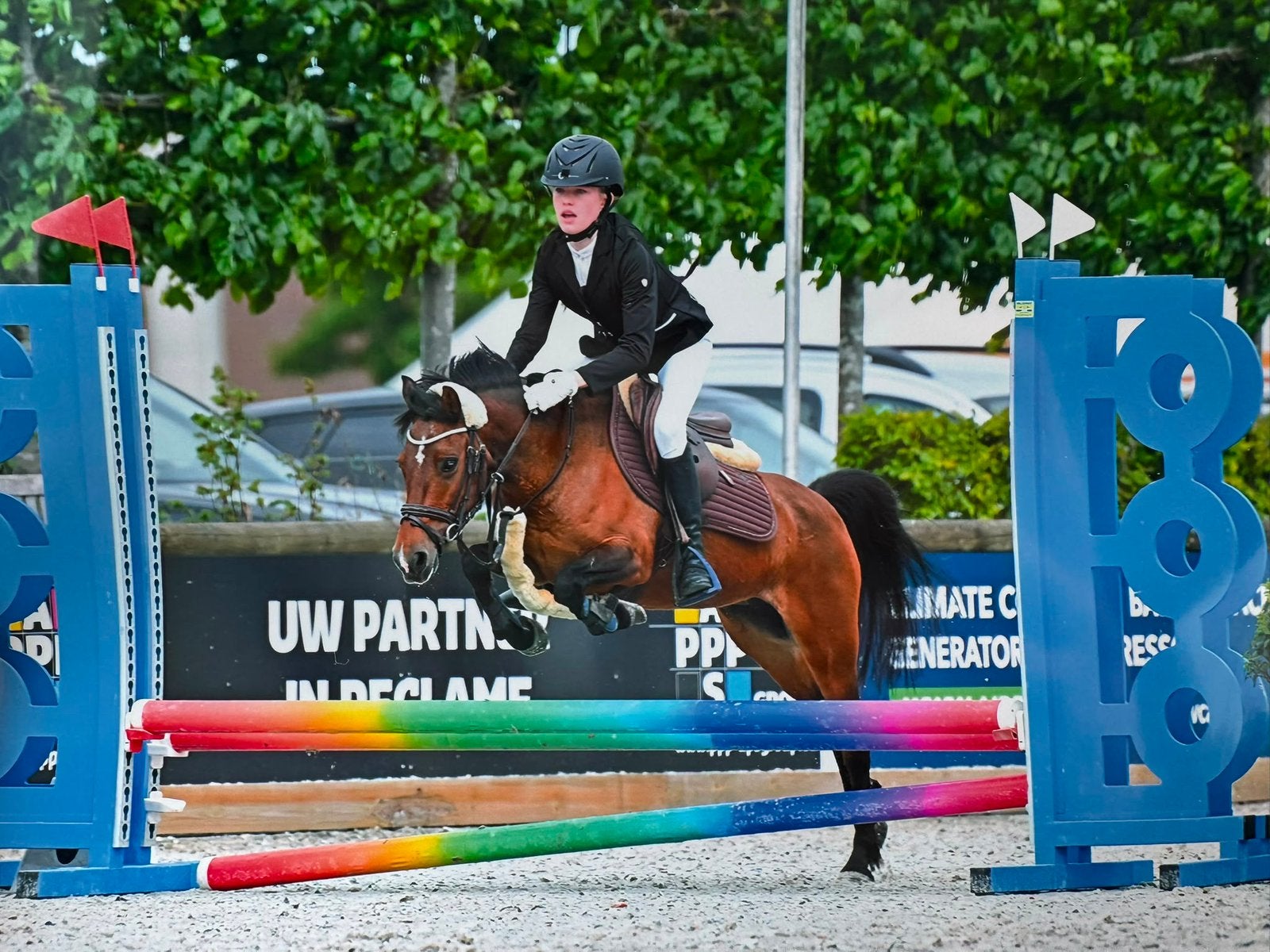 14 jarige B pony met wedstrijd  ervaring., Merrie, B, Springpony, B pony (1.17m tot 1.27m)