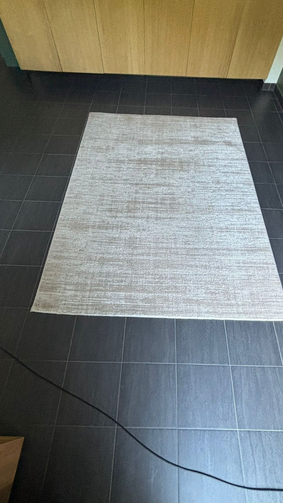 De twee tapijten van 160  230 cm, Caravanes & Camping, Enlèvement, Comme neuf