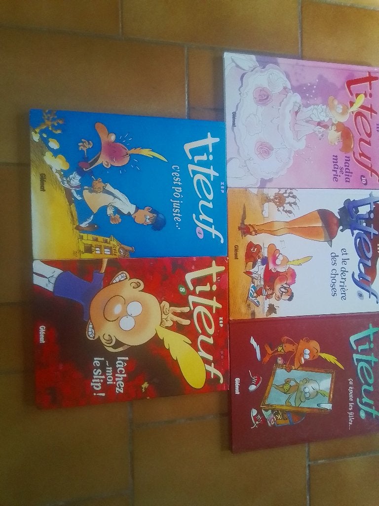 Lot  5 bds titeuf pour 12 euros, Livres, BD, Enlèvement, Utilisé