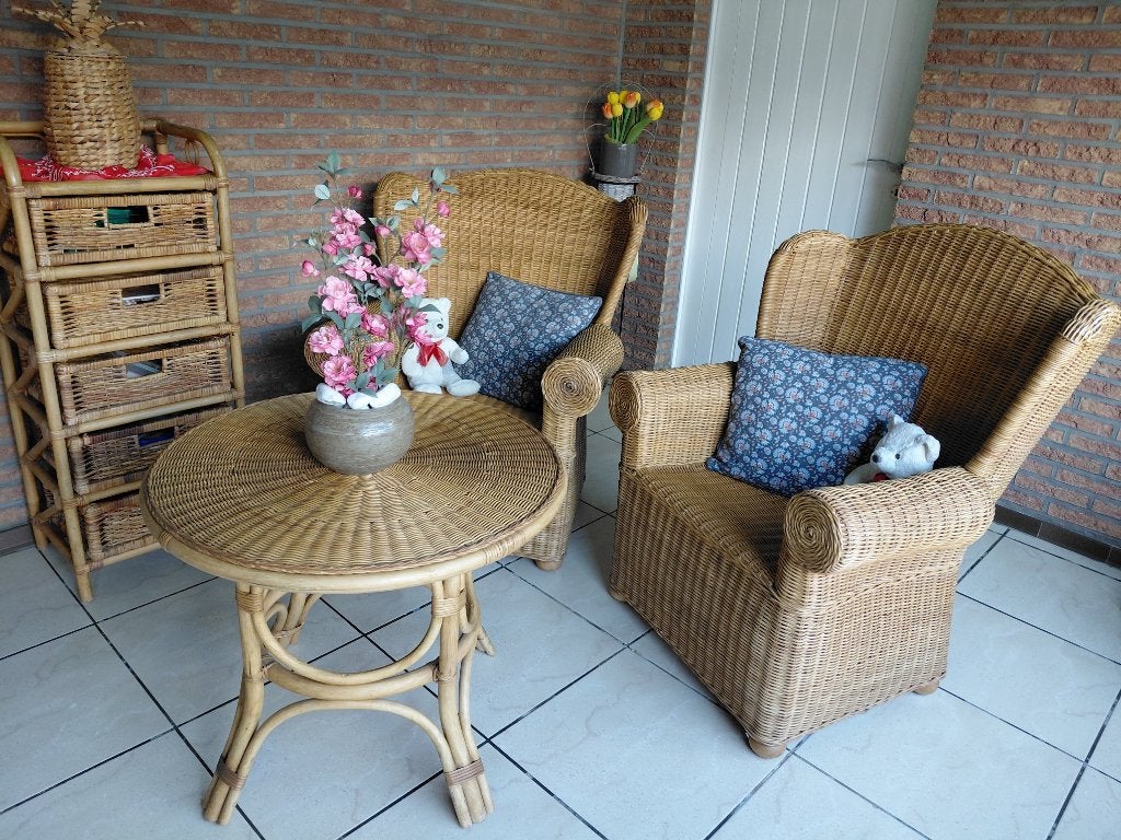 RIETEN SALON, Ophalen, Gebruikt, Riet of Rotan