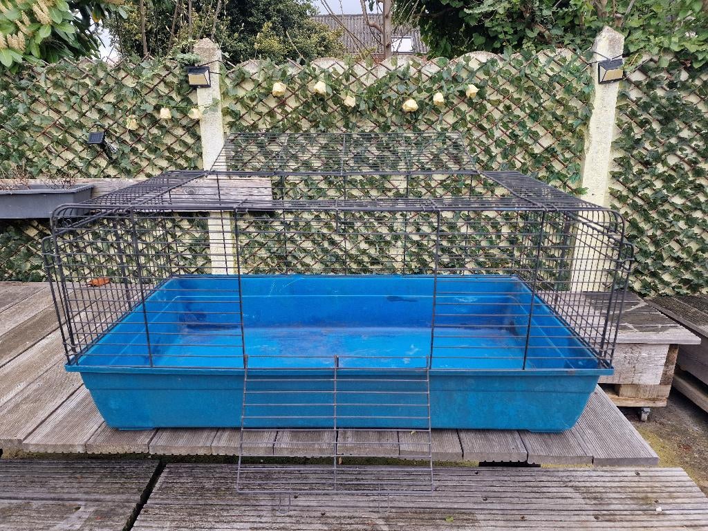 Grote kooi voor proefkonijnen of konijnen te koop, Kooi, Hamster, Ophalen, Minder dan 60 cm