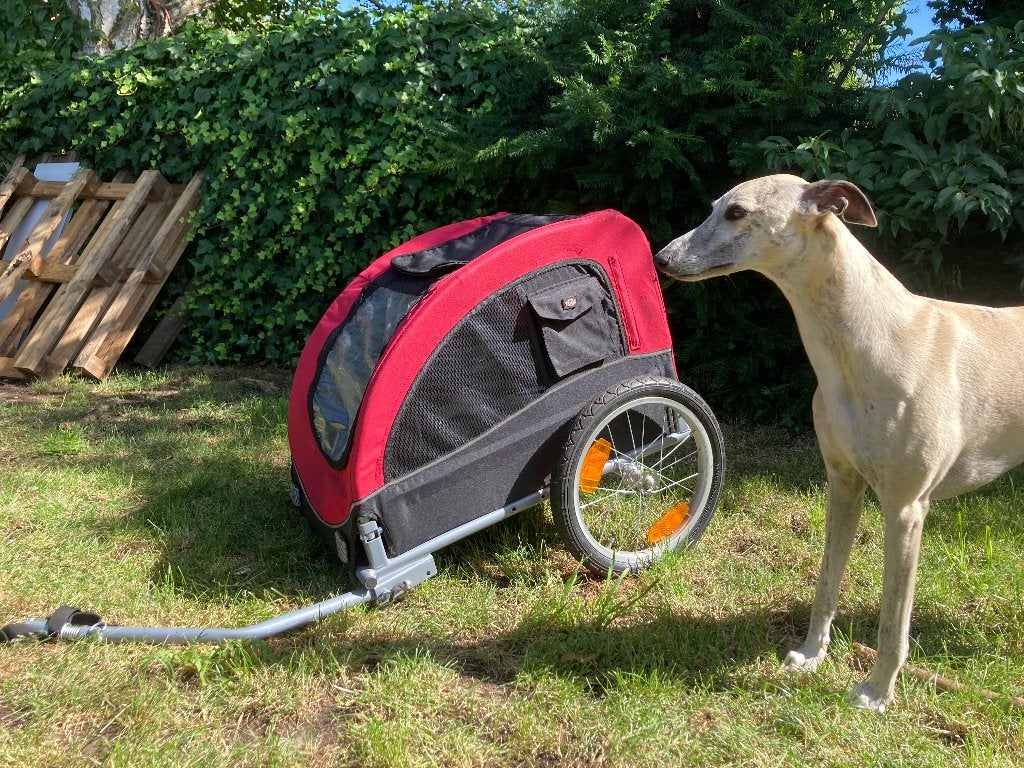 fietskar Trixie voor medium hond, Trixie, Ophalen, Zo goed als nieuw, Hondenfietskar