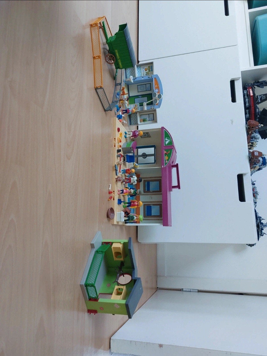 Playmobil dierenarts, Enlèvement