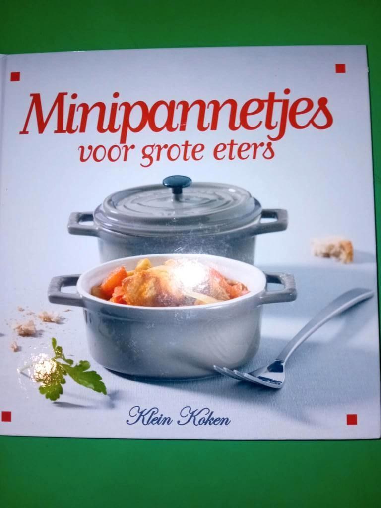 boek minnipannetjes voor grote eters, Boeken, Ophalen of Verzenden, Zo goed als nieuw, Europa, Gezond koken