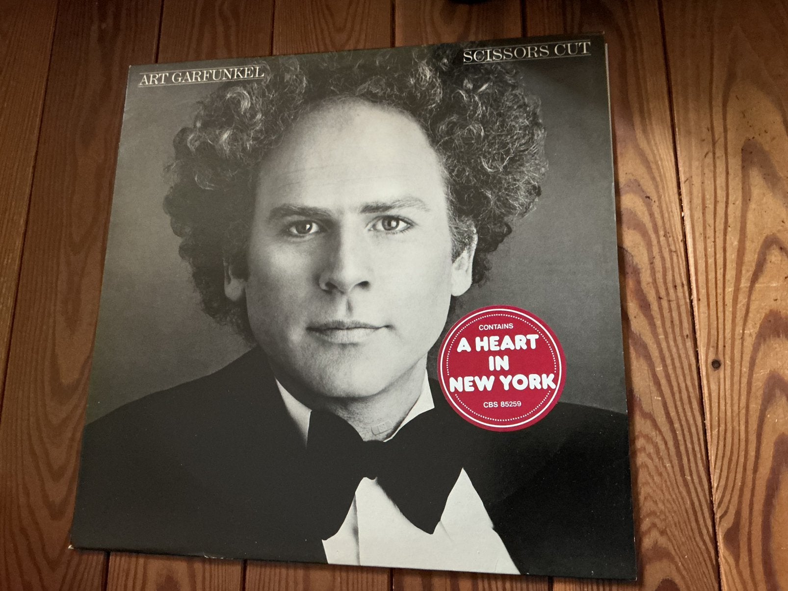LP Art Garfunkel - Coupe aux ciseaux, Enlèvement ou Envoi, Comme neuf, LP