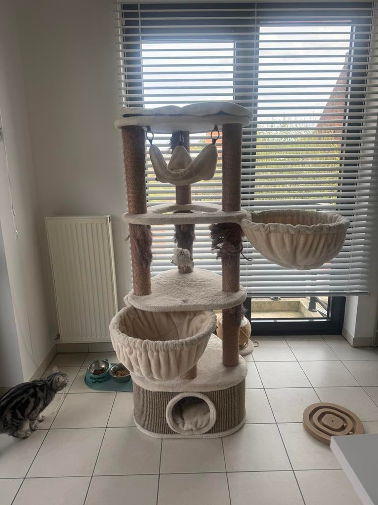 Krabpaal petrebels, Dieren en Toebehoren, Ophalen, Gebruikt, Krabpaal