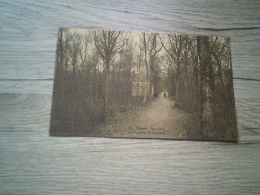 THUIN: Sous bois et Chapelle St Léonard (Le dos a été collé), Enlèvement ou Envoi, Avant 1920, Non affranchie, Hainaut