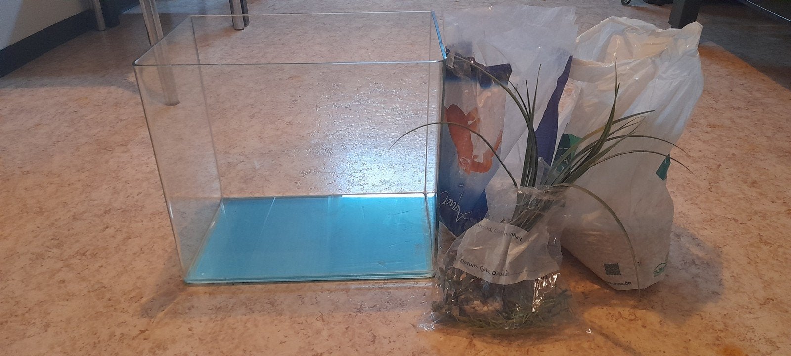 Aquarium met steentjes en plantjes, Ophalen