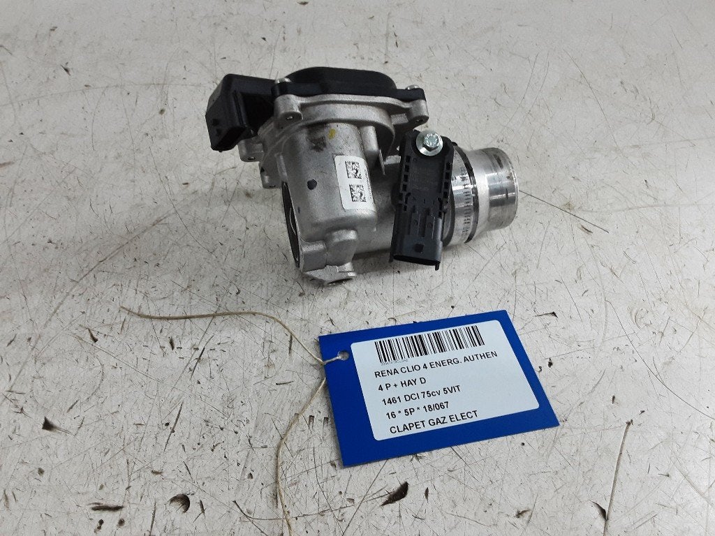 GASKLEPHUIS Renault Clio IV (5R) (161A09287R), Gebruikt, Renault, Mevr. I. Hauben, Rue de l'Espoir 34 34
4030  GRIVEGNÉE, BE