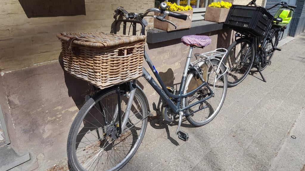 Goede damesfiets te koop, Ophalen, Gebruikt, Overige merken, Versnellingen