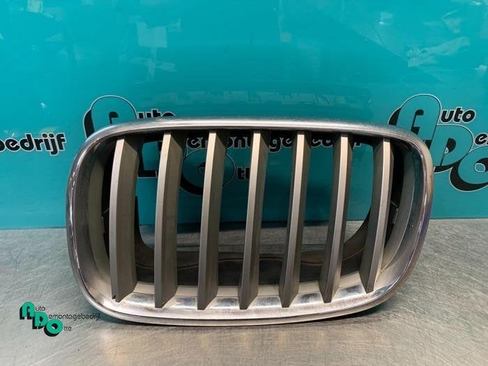 Calandre d'un BMW X5 (X5 07-) (NVT), -, 3 mois de garantie, Utilisé, -