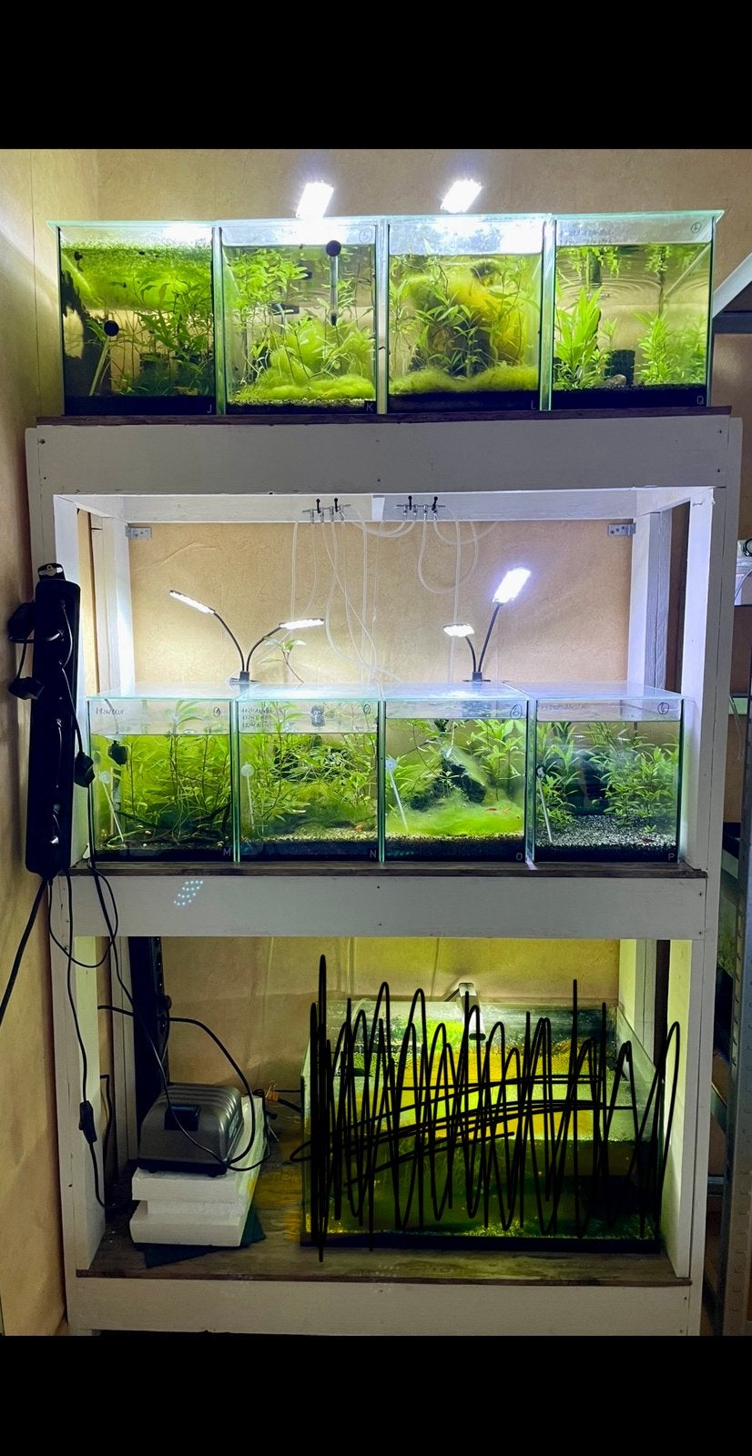 Aquarium stelling (10 aquariums van 20L), Ophalen, Zo goed als nieuw, Filter