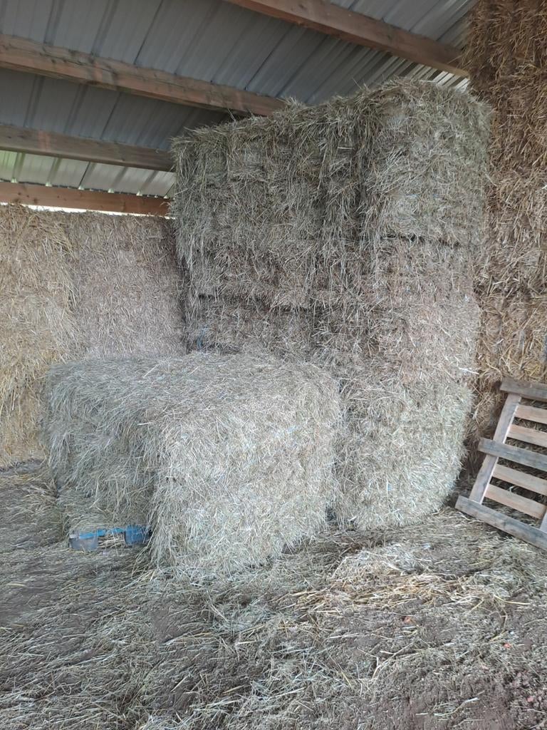 Kleine botten hooi., Ophalen