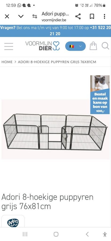 Puppy ren, Dieren en Toebehoren, Ophalen