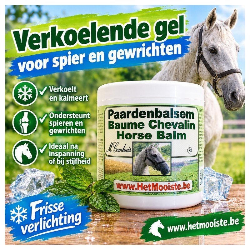 paardenbalsem spierpijn, Diversen, Ophalen of Verzenden, Nieuw
