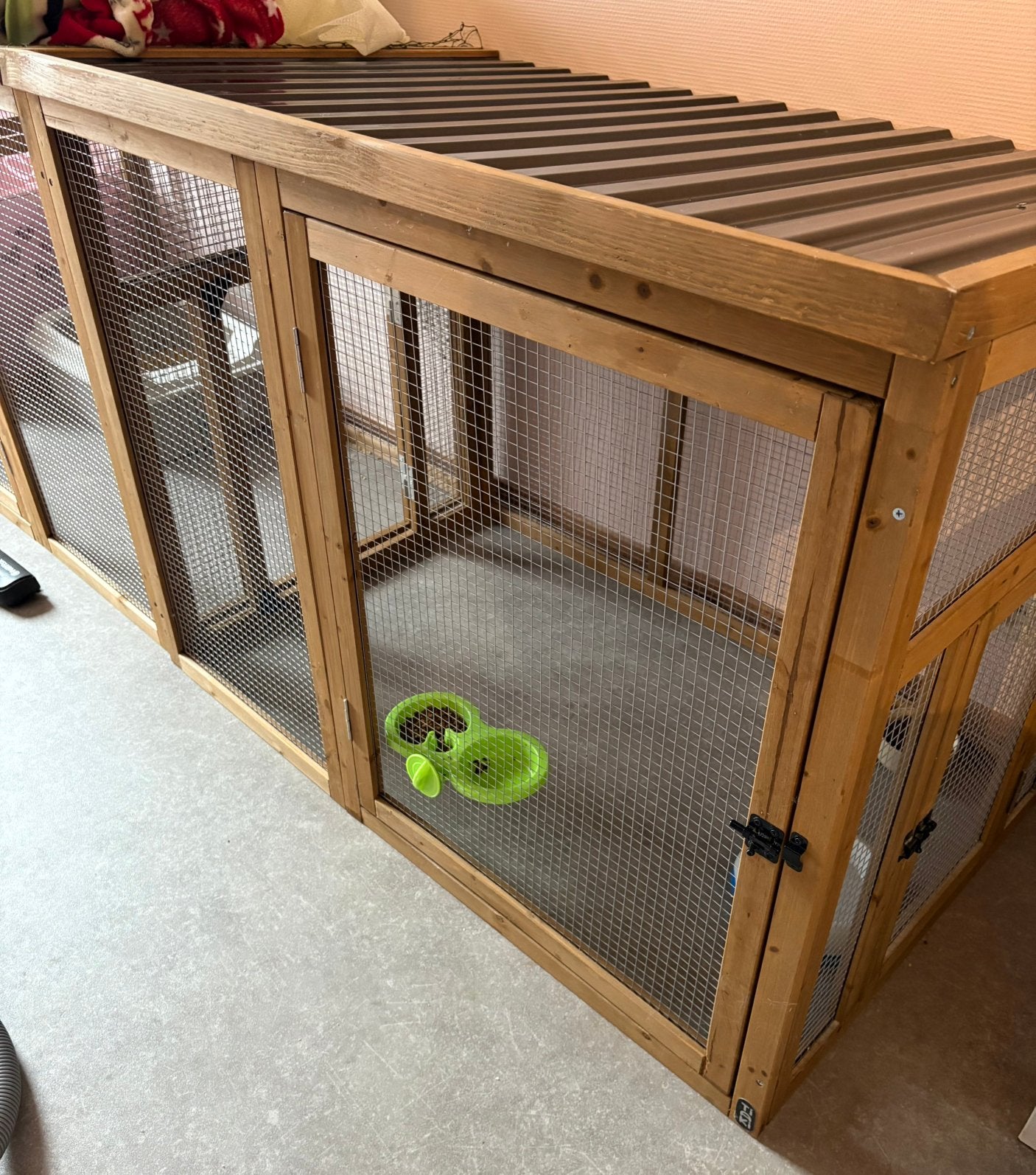 Chatons., Animaux & Accessoires, Enlèvement, Comme neuf