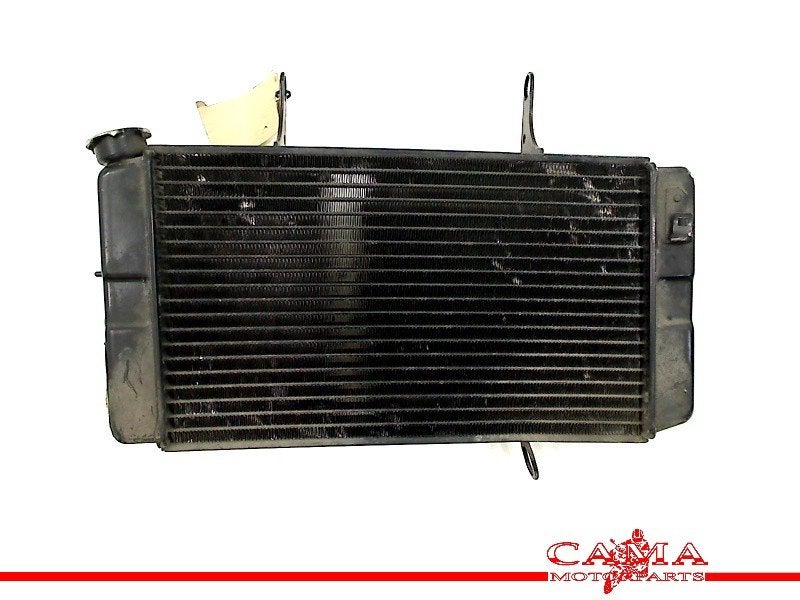 RADIATEUR Yamaha FZS 600 Fazer 2002-2003 (FZS600), Motoren, Dhr. S. di Majo, Gebruikt, Info@cama-motorparts.nl, P.J. Troelstraweg 8 8
3144 CX  MAASSLUIS, NL