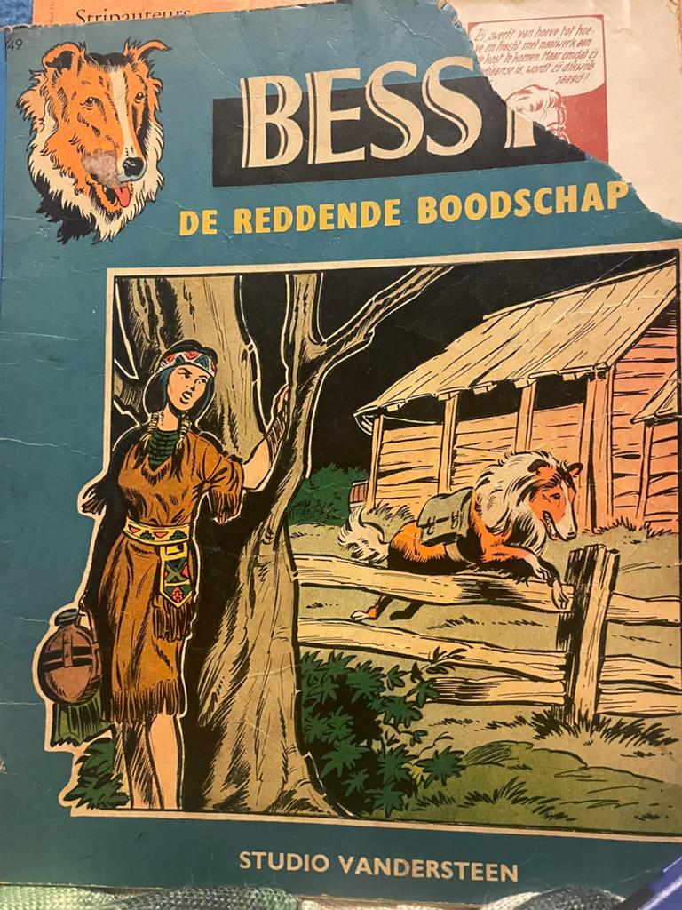 Allerlei strip, Boeken, Ophalen of Verzenden, Zo goed als nieuw