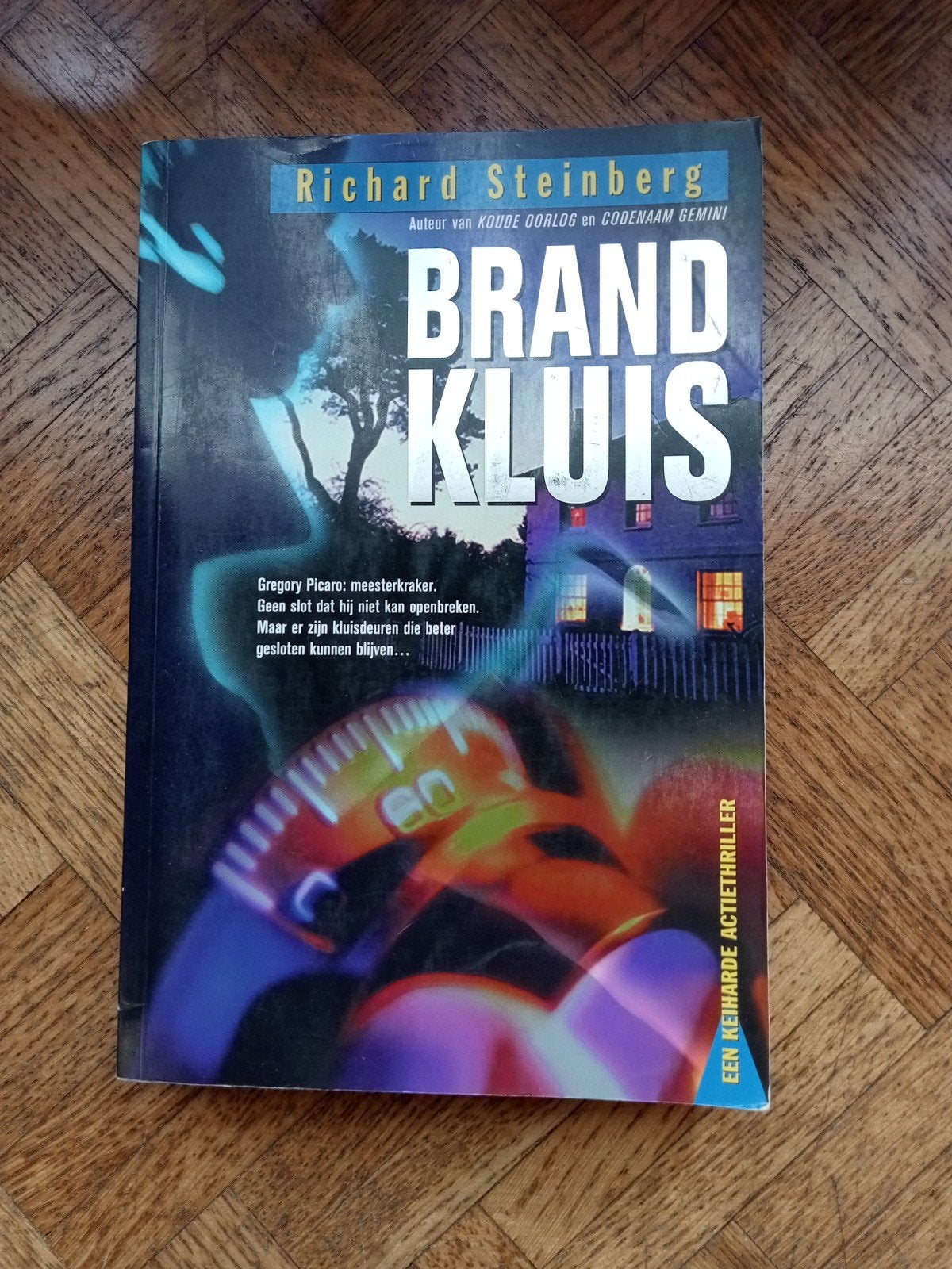 Richard Steinberg: Brandkluis, Ophalen of Verzenden, Gelezen