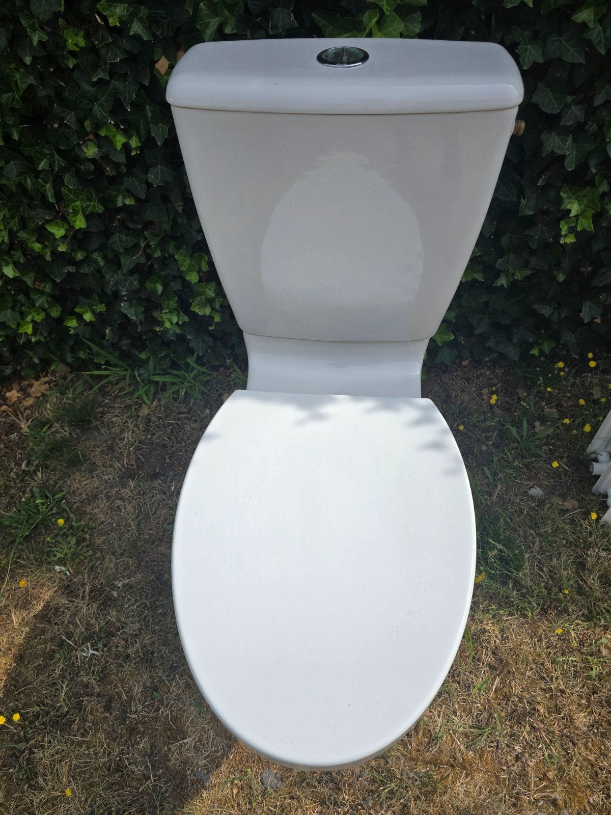 toilet, Ophalen, Toilet