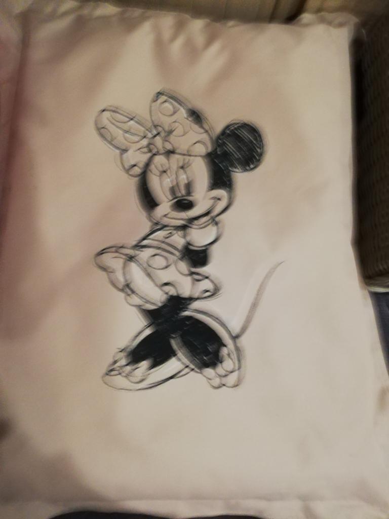 Als nieuw zitzak/Hondenkussen minnie mouse
Kan je zowel binn, Ophalen