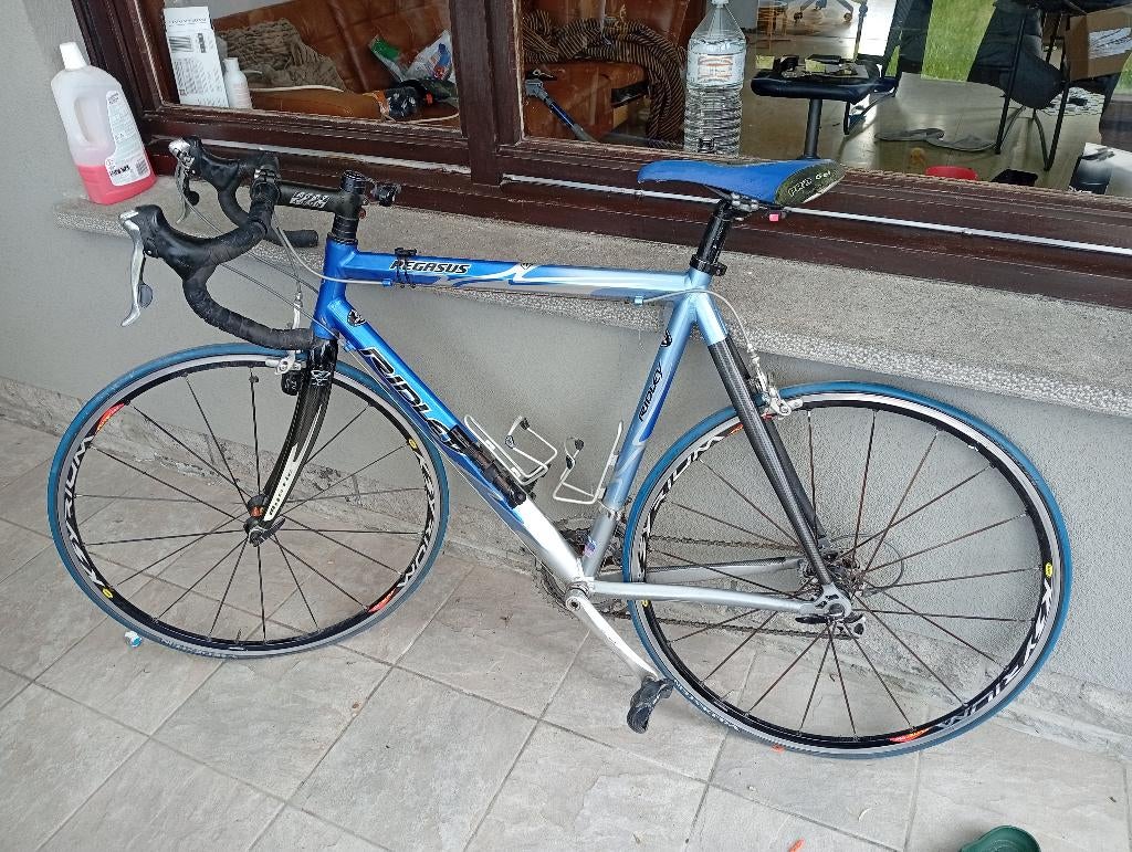 Twee heren fietsen, Ophalen, Gebruikt, Giant