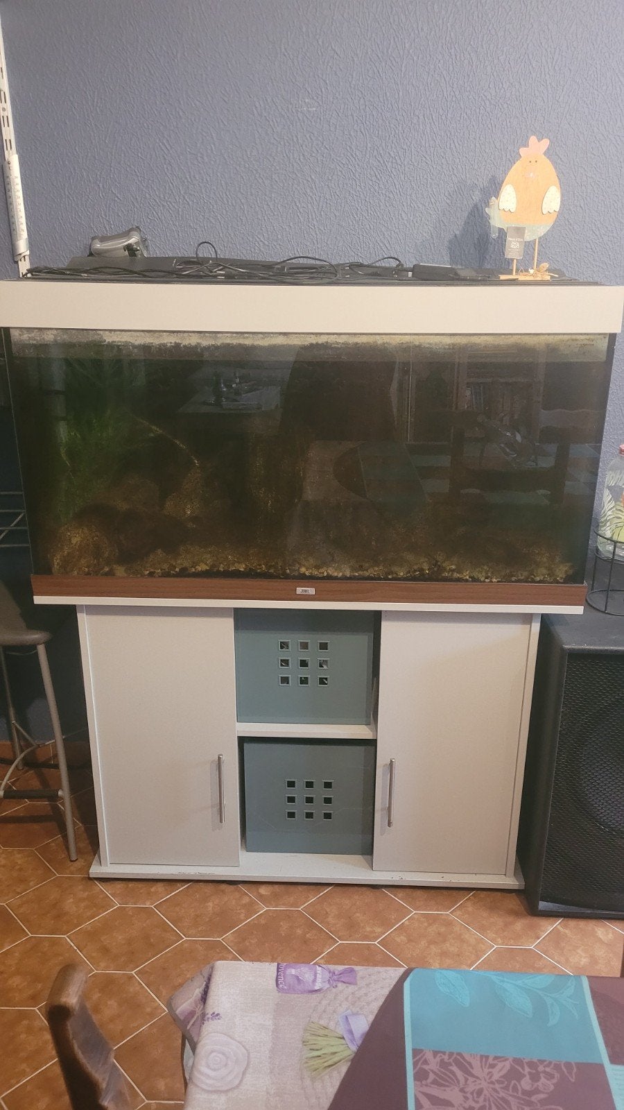 Volledig aquarium, Dieren en Toebehoren, Vissen | Aquaria en Toebehoren, Ophalen, Inclusief slangen, Zo goed als nieuw