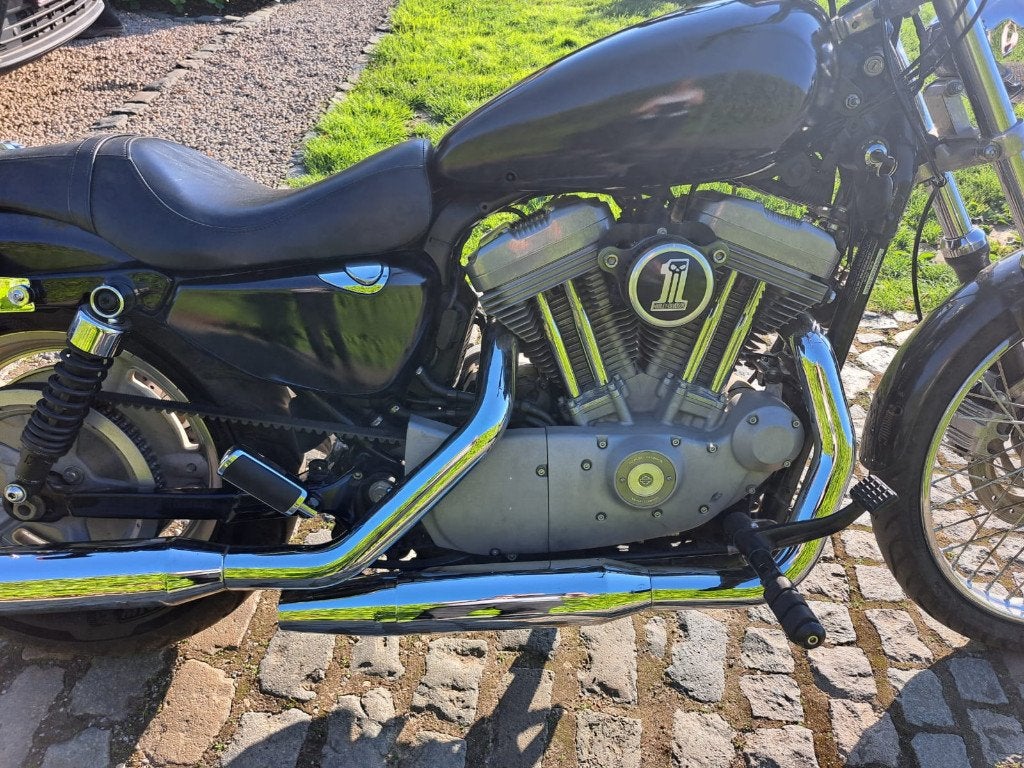 Harley-Davidson Sportster 883, Permis Moto A, Occasion, Plus de 35 kW, Chopper