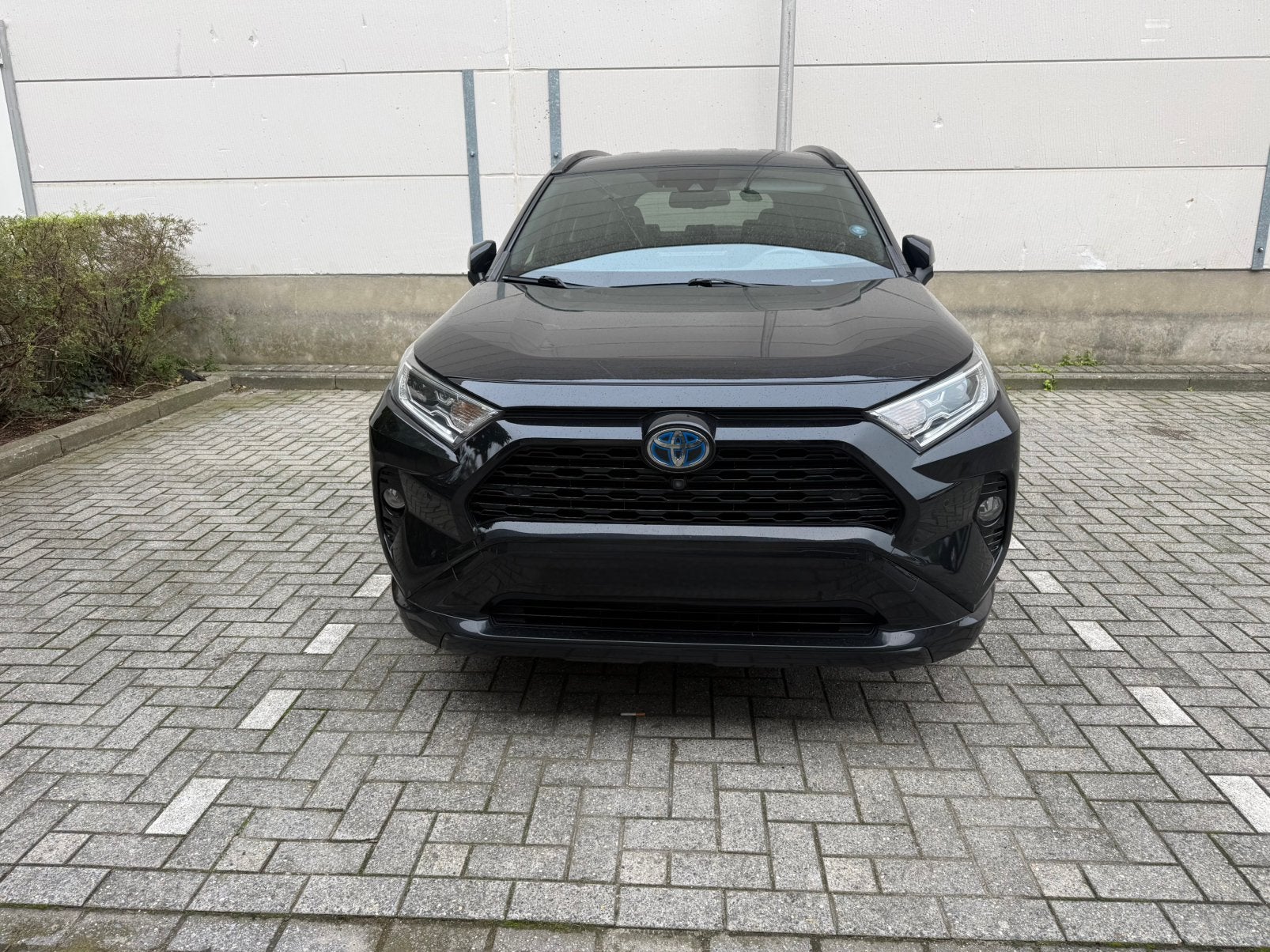 Toyota rav4.    2020.  Gezocht voor bumper, Ophalen, Voor, Toyota, Bumper