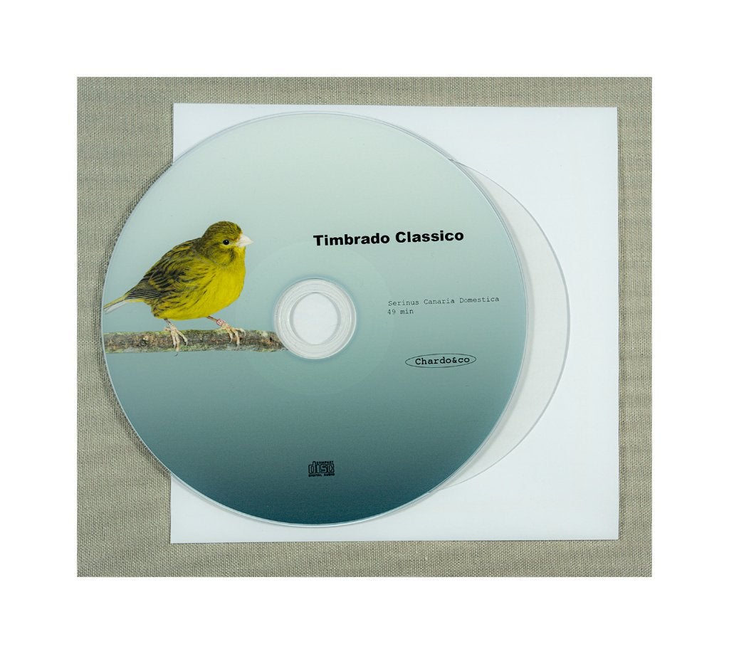 Kanarie Timbrado classico, Dieren en Toebehoren, Vogels | Kanaries, Zangkanarie