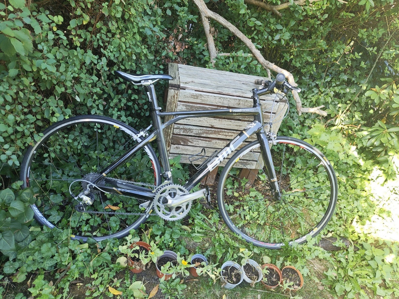 Vélo de coursz carbone BMC roadracer SL01 - Taille 54 - En l, Autres marques, Frein sur jante, 53 à 56 cm, Enlèvement
