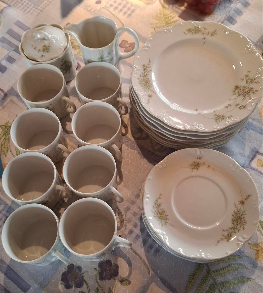 Classic Rose Collection koffieservies, Antiek en Kunst, Ophalen