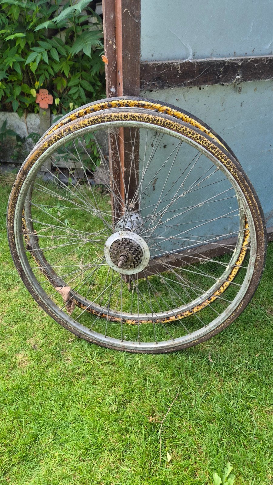 Koerswiel retro 4 speeds Hurret, Ophalen