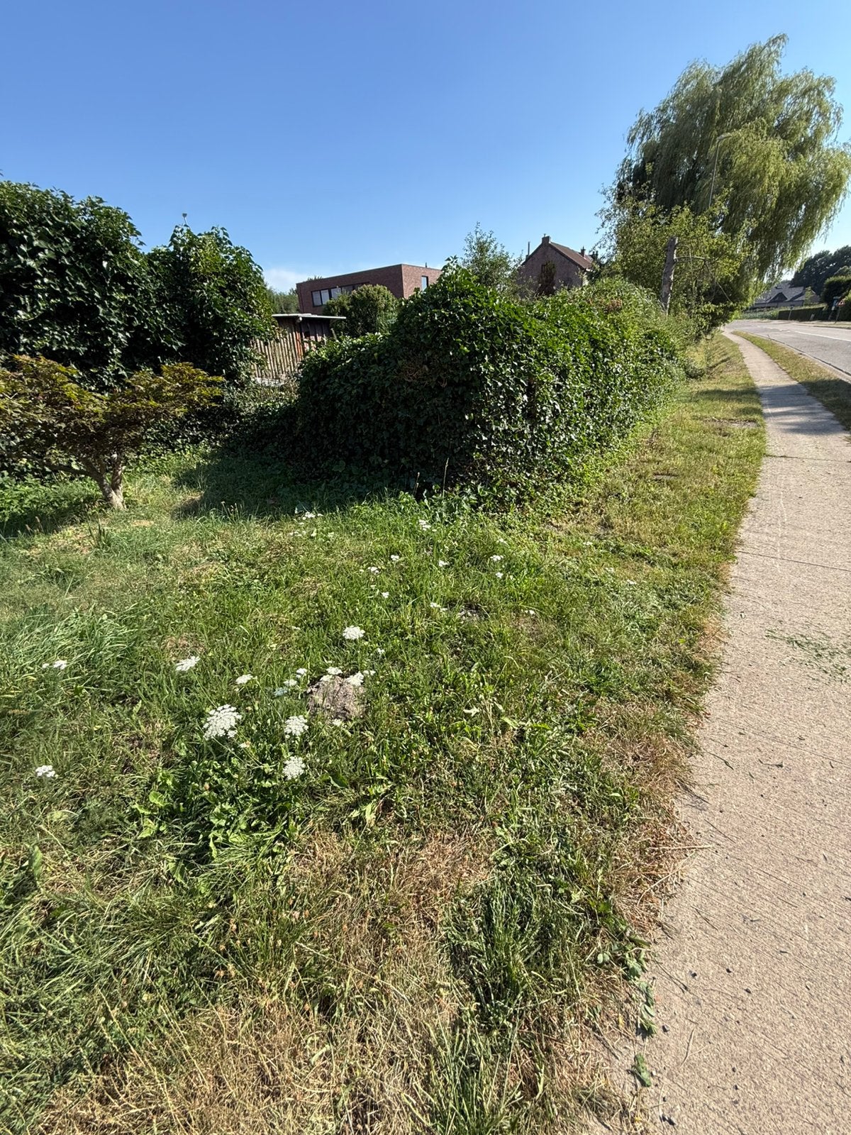 Beginnende tuinman - Lage prijzen!, Ophalen