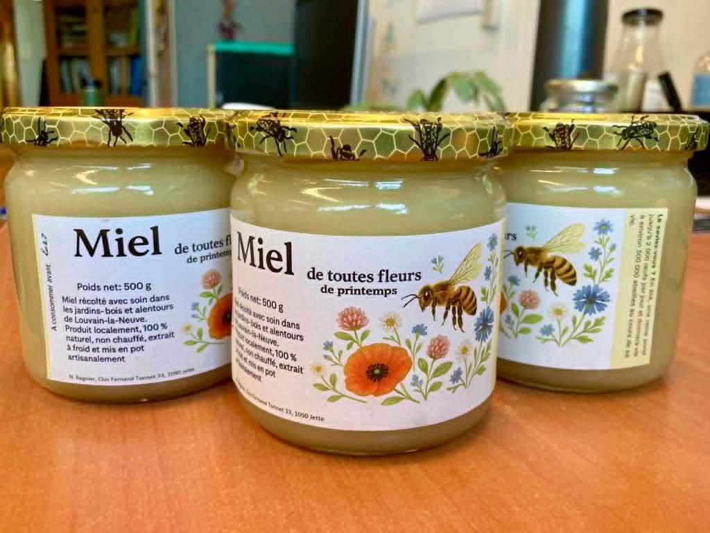 Miel de printemps 2026 - 500g - 100% naturel et artisanal, Enlèvement