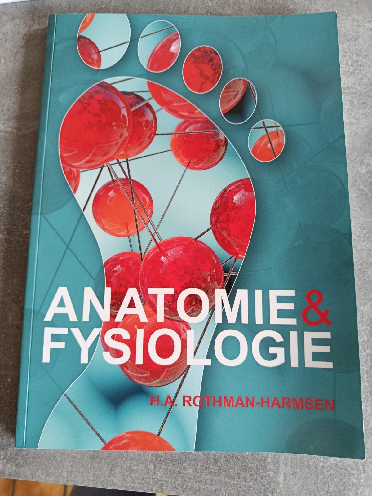 H.A. Rothman-Harmsen - Anatomie & Fysiologie, Boeken, Ophalen of Verzenden, Nederlands, H.A. Rothman-Harmsen
